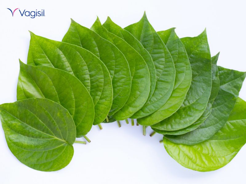 dung dịch vệ sinh phụ nữ lá trầu