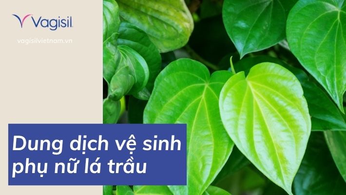dung dịch vệ sinh phụ nữ lá trầu
